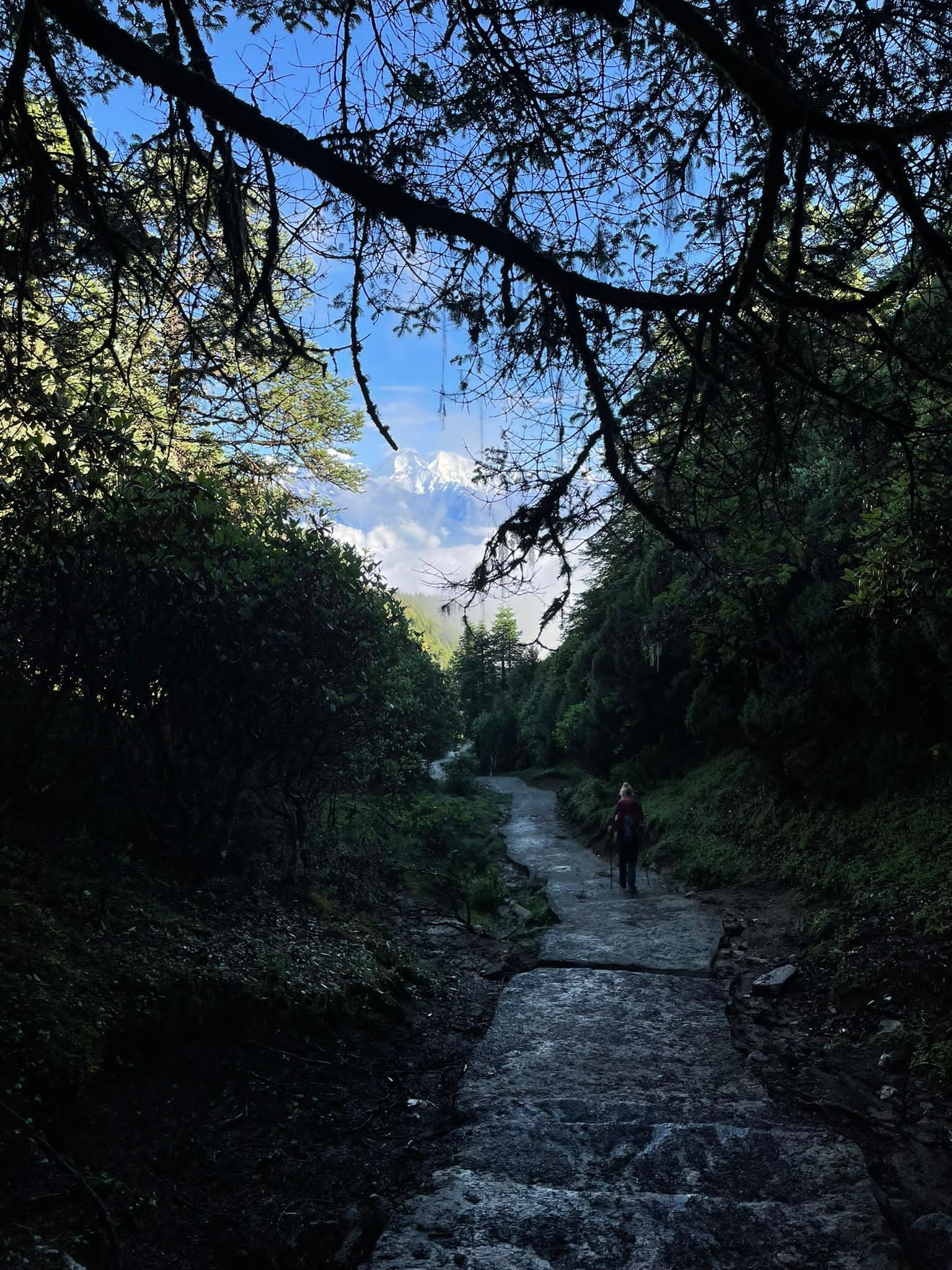 Nar-Phu valley trek